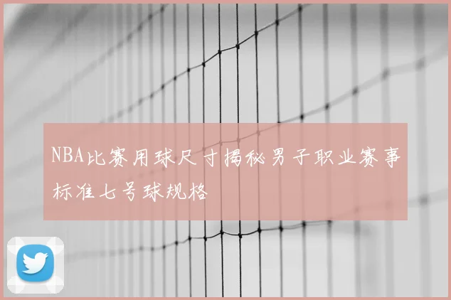 NBA比赛用球尺寸揭秘男子职业赛事标准七号球规格