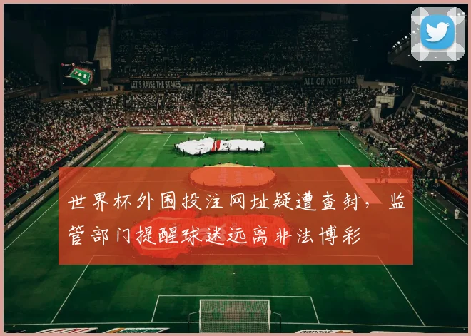 世界杯外围投注网址疑遭查封，监管部门提醒球迷远离非法博彩