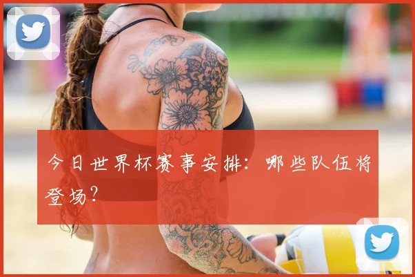 今日世界杯赛事安排:哪些队伍将登场?