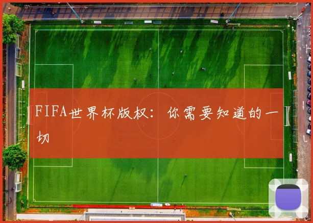 FIFA世界杯版权:你需要知道的一切