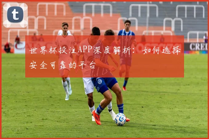 世界杯投注APP深度解析:如何选择安全可靠的平台