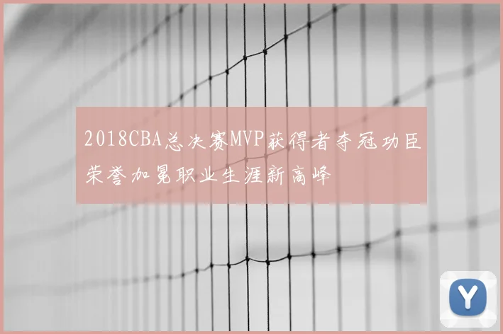 2018CBA总决赛MVP获得者夺冠功臣荣誉加冕职业生涯新高峰