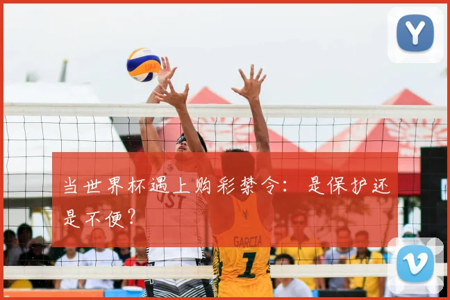 当世界杯遇上购彩禁令:是保护还是不便?