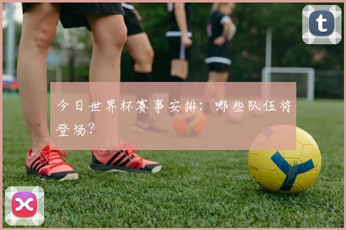 今日世界杯赛事安排：哪些队伍将登场？