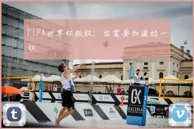 FIFA世界杯版权:你需要知道的一切