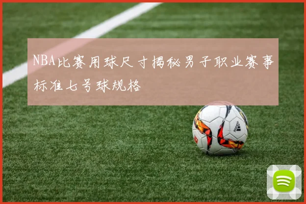 NBA比赛用球尺寸揭秘男子职业赛事标准七号球规格