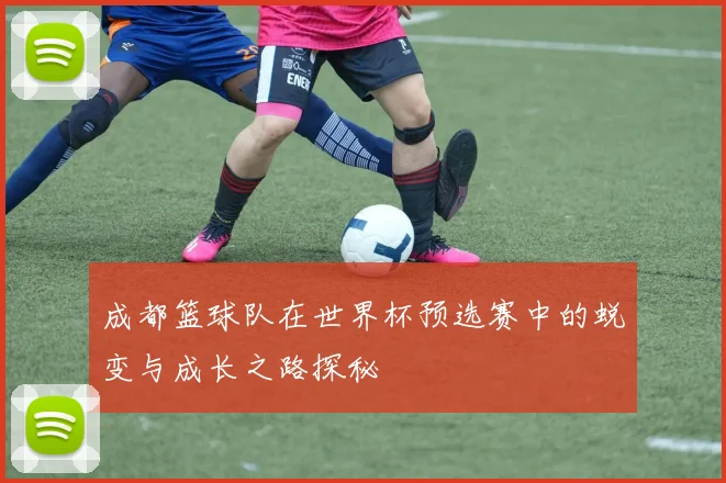 成都篮球队在世界杯预选赛中的蜕变与成长之路探秘
