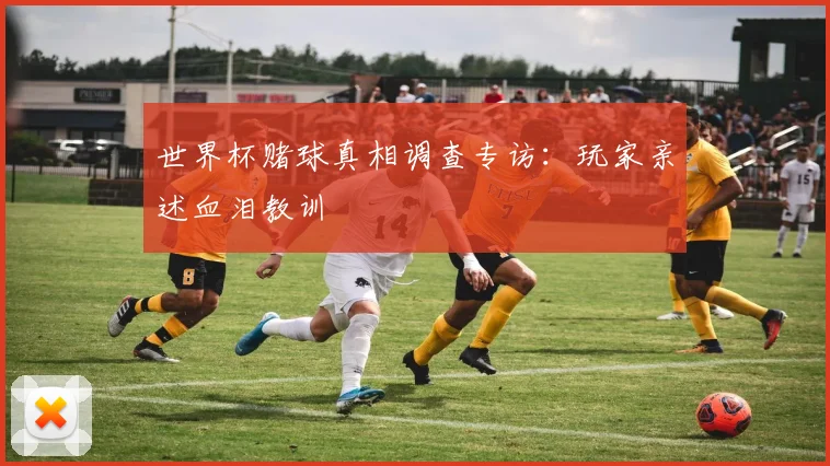 世界杯赌球真相调查专访:玩家亲述血泪教训