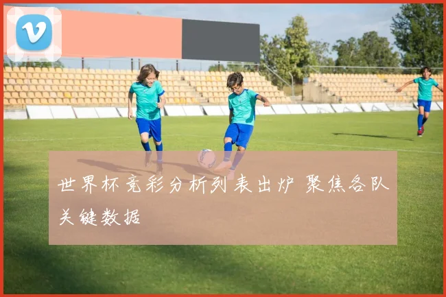 世界杯竞彩分析列表出炉 聚焦各队关键数据