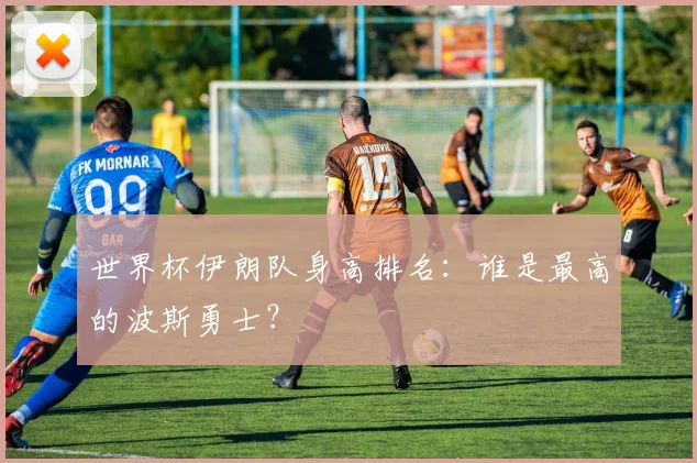 世界杯伊朗队身高排名：谁是最高的波斯勇士？